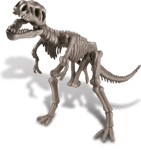 Kit excavación Dinosaurio T-Rex - 4M
